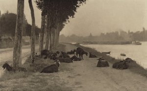  door Alfred Stieglitz