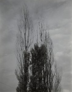  door Alfred Stieglitz