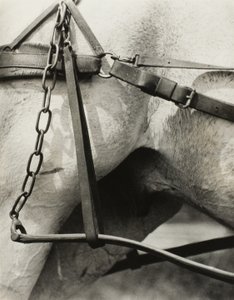 Spiritueel Amerika: Liederen van de lucht A1 door Alfred Stieglitz
