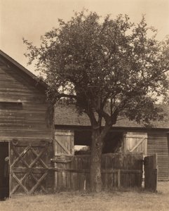  door Alfred Stieglitz