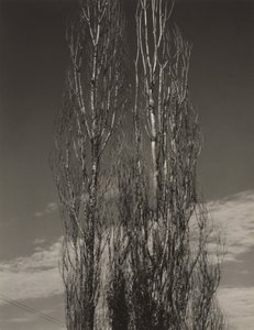  door Alfred Stieglitz