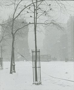 Boom in de sneeuw, New York City, 1900-02