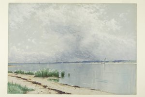 Gereflecteerde riet
