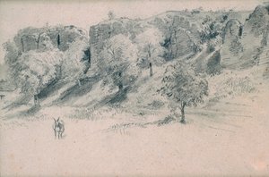 Landschap