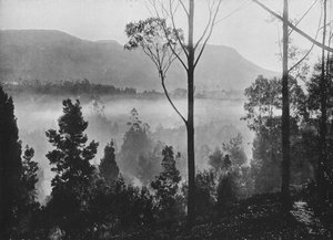 De Ochtendmist die Oprijst in Nuwara Eliya, ca. 1890, 1910