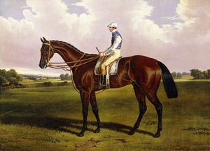 Bloomsbury, een kastanjebruin renpaard met Sam Templeman in een landschap