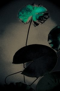 Emerald Spring, uit de serie Spring, 2020 (handgeschilderde foto) door Alice Gur-Arie