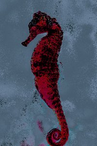 Zeepaardje, 2018 (handgeschilderde foto) door Alice Gur-Arie