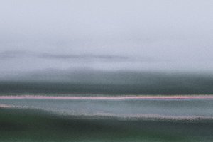 Verdant, uit de serie Conyer Reach, 2020 (handgeschilderde foto)