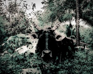 De Lodge bij Periyar, 2020 (geschilderde foto)