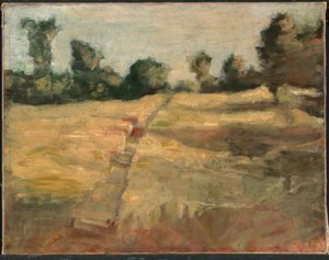 Het veld door Alice Pike Barney