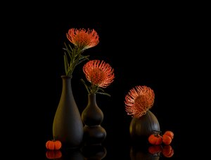  door Alice Sheng
