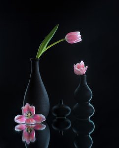  door Alice Sheng