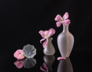  door Alice Sheng