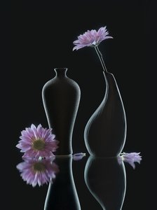  door Alice Sheng