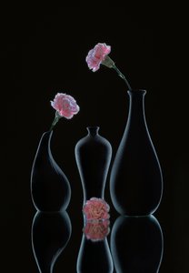  door Alice Sheng
