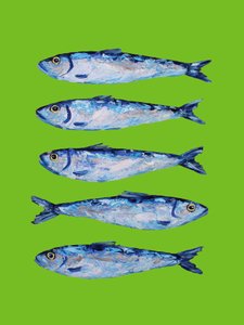 Verse blauwe sardines door Alice Straker