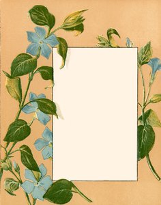 Februari door Alicia Amy Leith