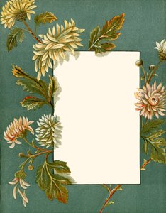November door Alicia Amy Leith