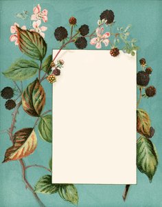 September door Alicia Amy Leith