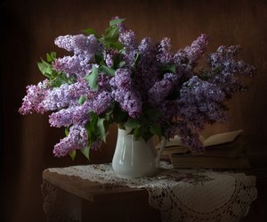  door Alina Lankina