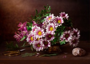  door Alina Lankina