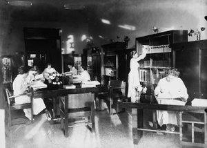 Villa Rosa Maltoni Mussolini: studeren in de bibliotheek door Fratelli Alinari