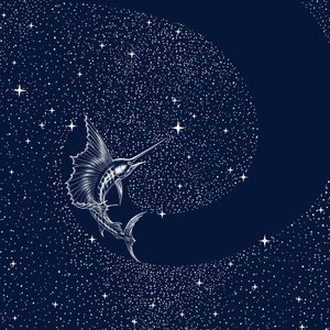 Hemelse zeilvis door Alirıza ÇAKIR