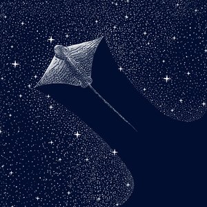 Kosmische adelaarsrog door Alirıza ÇAKIR