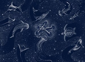 Kosmische Oceaan-droom door Alirıza ÇAKIR