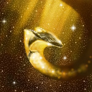 Gouden Kosmische Walvis door Alirıza ÇAKIR