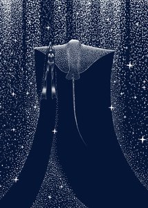 Starlit Ray-gids door Alirıza ÇAKIR