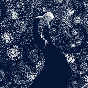 Walvishaai Sterrenzee door Alirıza ÇAKIR