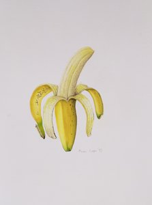 Een Half-geschilde Banaan, 1997