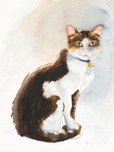 Dave de Saoedische Kat, 2019