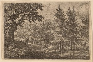 Sparren bij het water door Allart van Everdingen