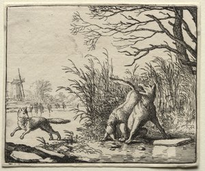 Reinaert de Vos: Een Nieuwe Beschuldiging door de Wolf