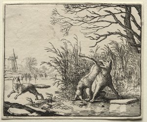 Reinaert de Vos: Een nieuwe beschuldiging door de Wolf