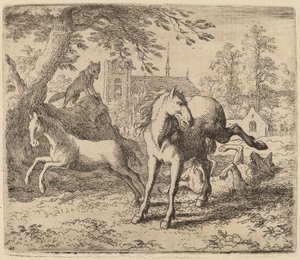 De Merrie en de Wolf