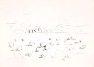 Prairie met kerk op de achtergrond door Allen Tucker