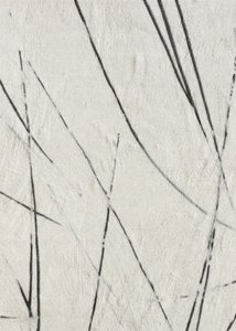 Organische lijnen en textuur