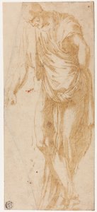Studie van Levi