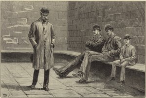 De Staat van Ierland door Aloysius O
