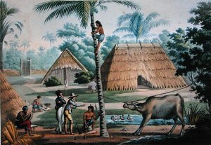 Uitzicht op de Omgeving van Coupang, Timor, uit 