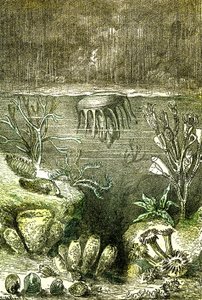 Prehistorie-Aarde en Zeeën: Het begin van de Silurische periode (J. Rengade. Tekening door Demarle. 1885 door Alphonse Demarle