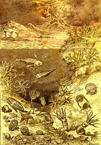 Prehistorie-Einde van de Silurische periode: Natuurlijke Schepping en Levende Wezens (J. Rengade) Tekening A. Demarle. 1885 door Alphonse Demarle