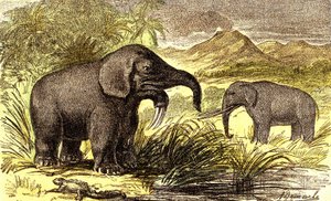 Prehistorie-Mioceen Periode: Van rechts naar links: de Dinotherium en de Mastodont. Natuurlijke Creatie en levende wezens. Tekening door A. Demarle. 1885 door Alphonse Demarle