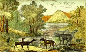 Prehistorie - Eoceen Periode: Van rechts naar links: Paloeotherium, Anoplotherium, Xiphodonts en de vogels Tantalus. Natuurlijke creatie en levende wezens. Tekening door A. Demarle. 1885 door Alphonse Demarle