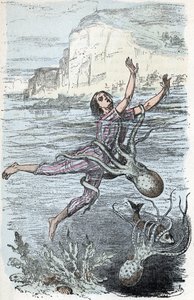 Zoologische plaat; koppotige weekdieren, zwemmer gegrepen door een grote octopus en musquee eledone (Zoologische plaat: zwemmer gegrepen door een octopus) Gravure uit 