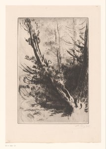 Bomen